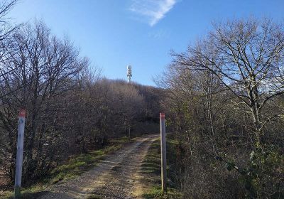 Kapildui