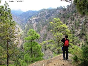 lapalma1