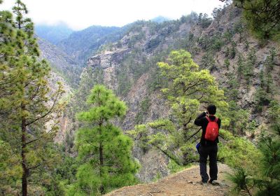 La Palma
