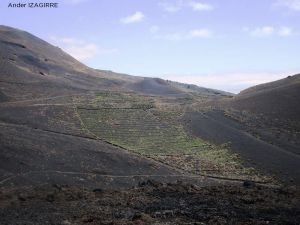 lapalma13