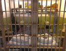 alcatraz5