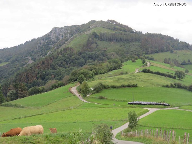 belabieta1 belabieta1