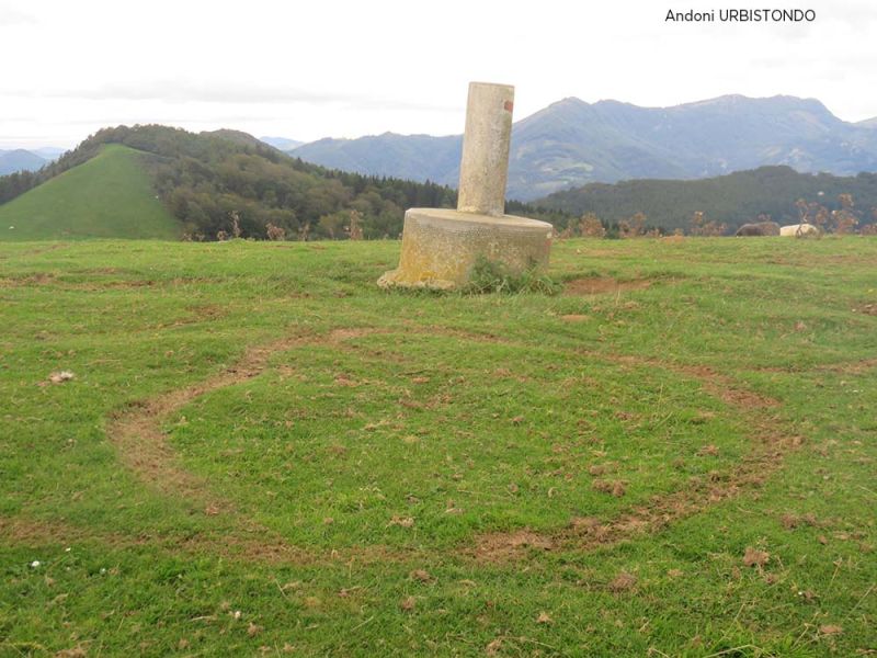 belabieta2 belabieta2