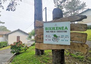 bixikenea1 bixikenea1