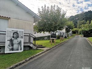 bixikenea3 bixikenea3