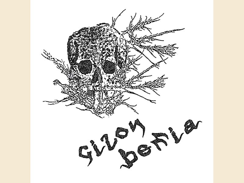 489gizonberria