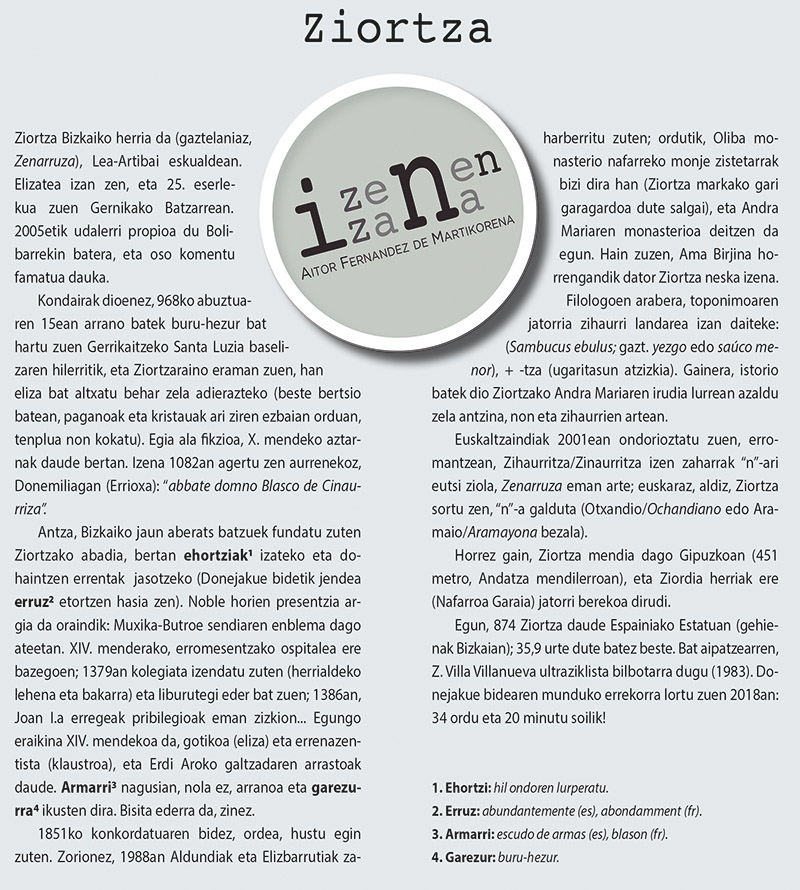 496izena